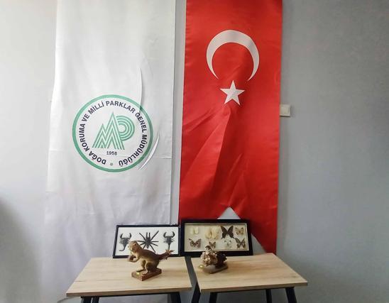 İş yerinde hayvan tahnitlerini satarken yakalandı