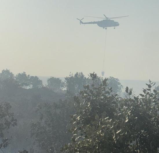 Mardin’deki örtü yangını kontrol altında