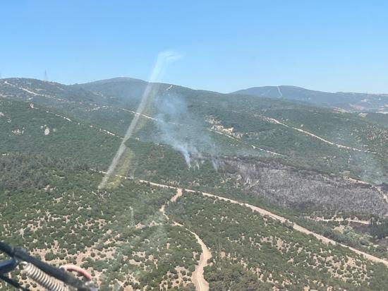 Kocaelide makilik yangını