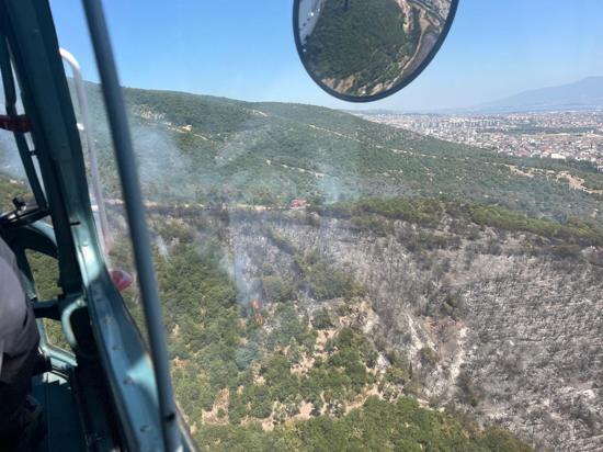 Kocaelide makilik yangını