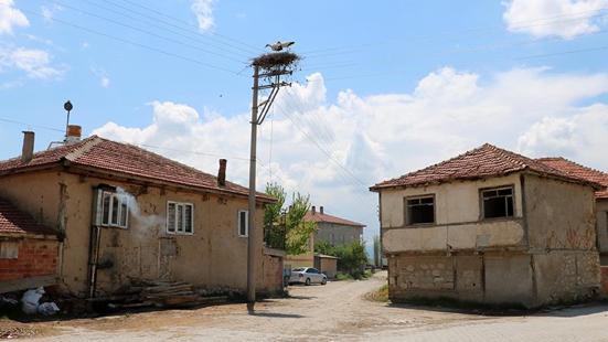 Elektrik direği, 18 yıldır leyleklerin yuvası