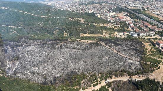 Kocaelide makilik yangını