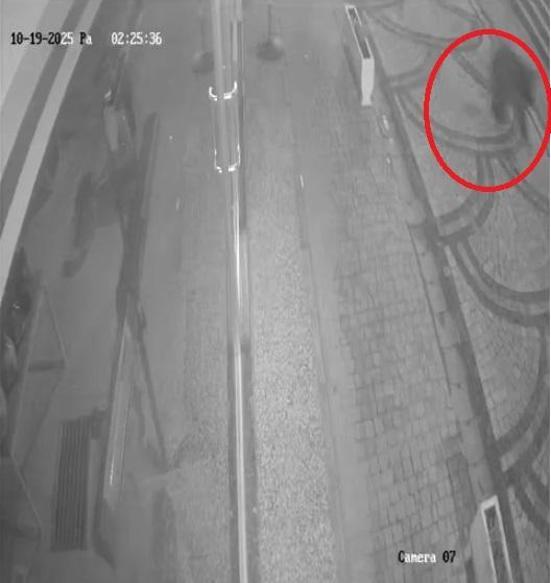 Kastamonuda aç kalan ayı ilçe merkezine indi; o anlar kamerada