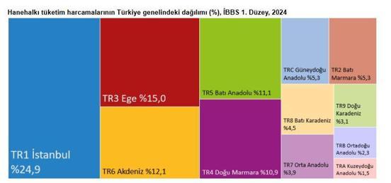 TÜİK: Hanehalkı tüketim harcamalarının yüzde 24,9u İstanbulda gerçekleşti
