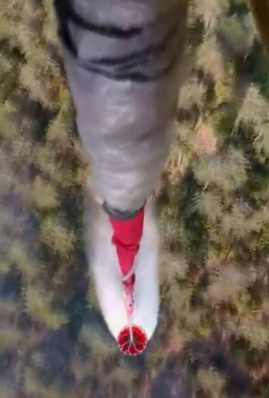 Sinopta orman yangını