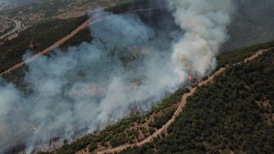 Kocaelide makilik yangını
