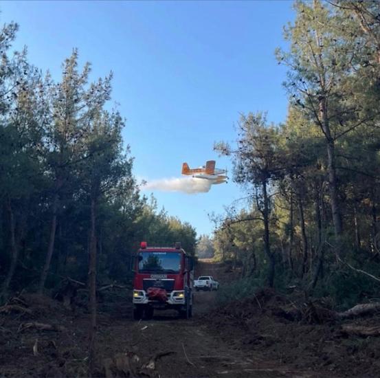 OGM Müdürü Karacabey: Yangınların yüzde 57si orman dışı alanlarda başladı