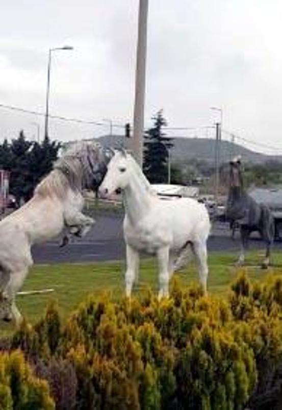 Nevşehirde maket atları gören at, şaha kalktı