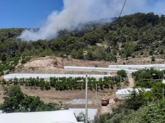 Antalyada çıkan orman yangını kontrol altında