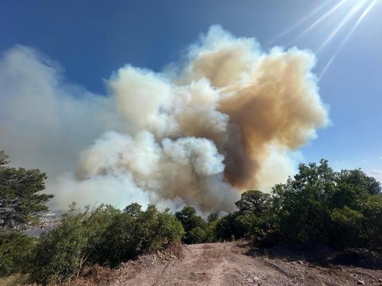 Kocaelide çıkan orman yangını kontrol altında