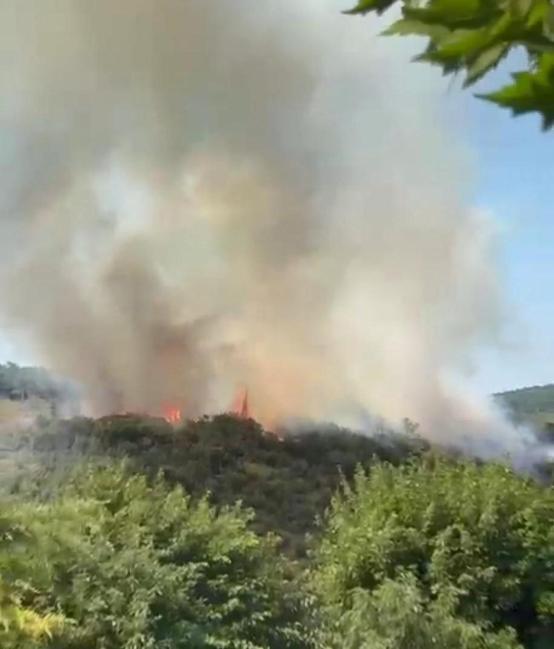 Sultangazi Kent Ormanındaki yangın kontrol altına alındı