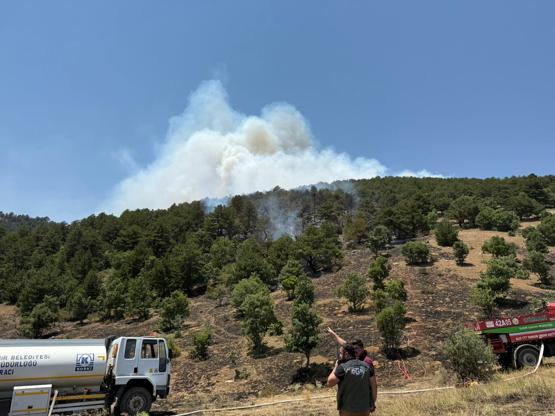 Konyada orman yangını