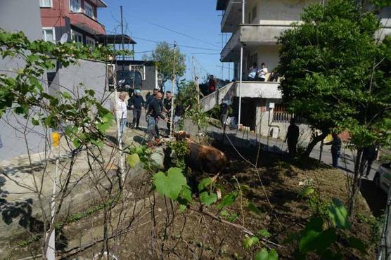 Yurtta Kurban Bayramı manzaraları