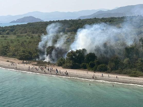 Muğlada orman yangını