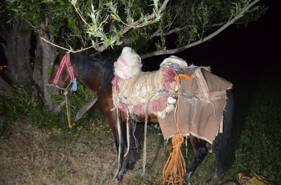 Van’da 97 kilo skunk ele geçirildi