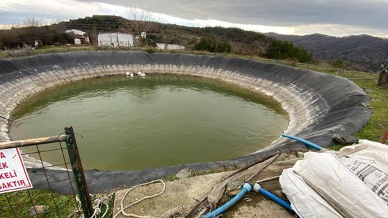 Sırra kadem basan Elifi arama çalışmaları 7nci gününde; dijital verilerden de sonuç alınamadı