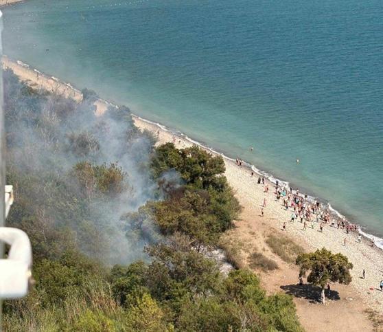 Muğlada orman yangını