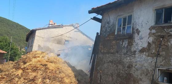 Köyde çıkan yangında 2 ev ve eklentileri yandı; ev sahibi gözaltına alındı
