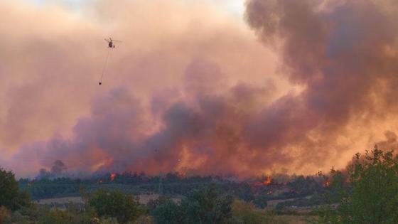 Kozanda başlayıp, 2 ilçeye daha sıçrayan orman yangını 2’nci gününde