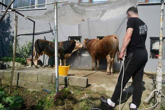 Yurtta Kurban Bayramı manzaraları
