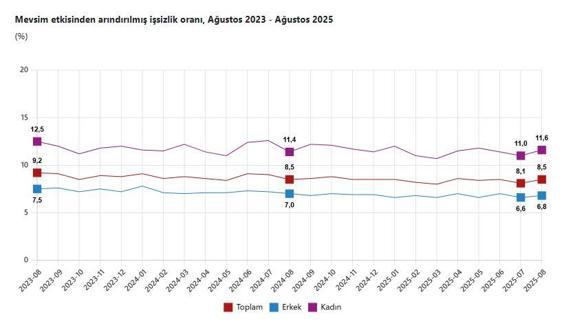 TÜİK: İşsizlik oranı ağustosta yüzde 8,5 oldu