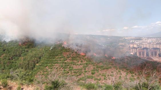 Kocaelide çıkan orman yangını kontrol altında