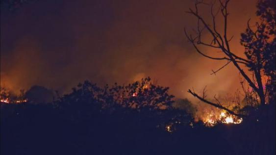 Beykozda orman yangını; alevler kontrol altına alındı