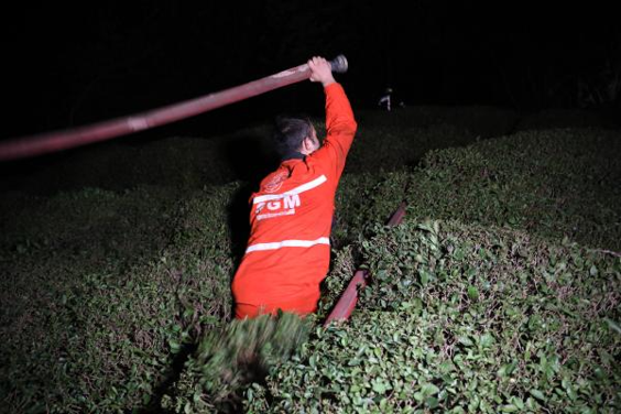 Trabzonda orman yangını; 2 itfaiye eri dumandan etkilendi