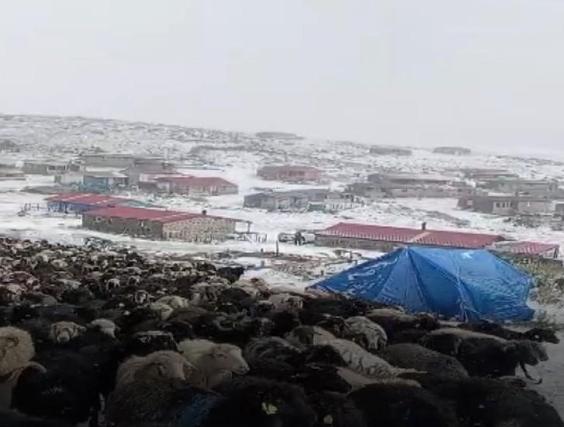 Erzurumun yüksek kesimlerine eylül ayının ortasında kar yağdı