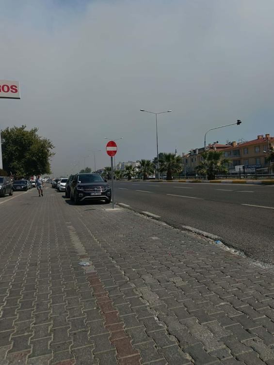 Balıkesirde orman yangını