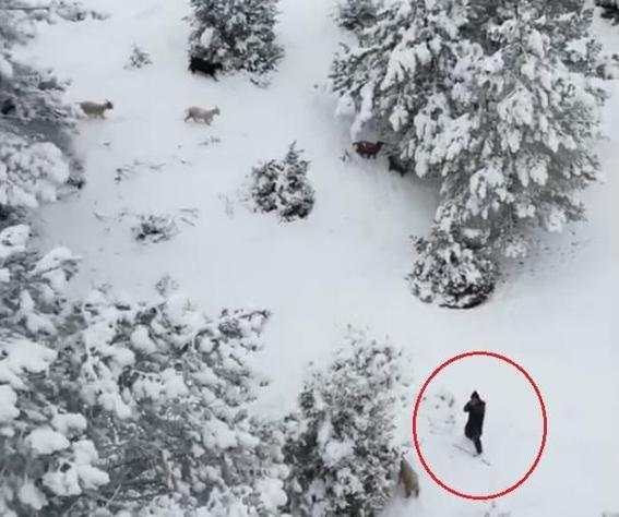 Dronuna tüfek doğrultulan fotoğrafçı: Ateş etse vurabilirdi