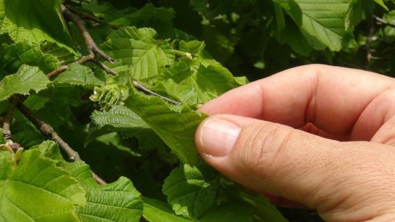 Bakan Yumaklı: Gıda arz güvenliğine ilişkin bir problem yok