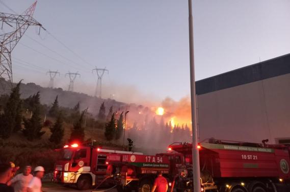 Bandırmada zeytinliklere sıçrayan yangın kontrol altında