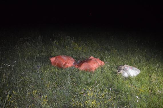 Van’da 97 kilo skunk ele geçirildi