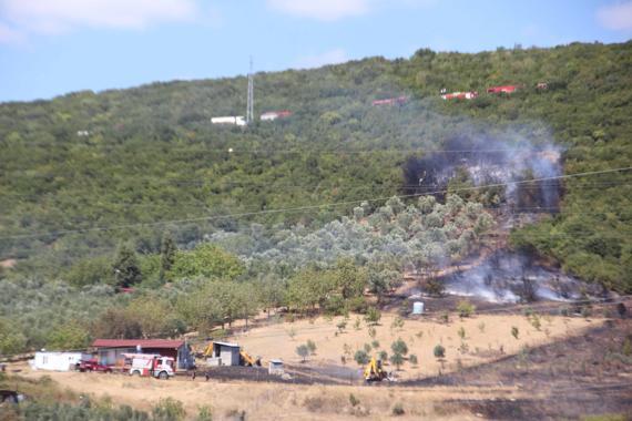 Kocaelide ot yangını