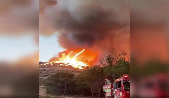 Bilecikteki orman yangınında ateş hortumu oluştu