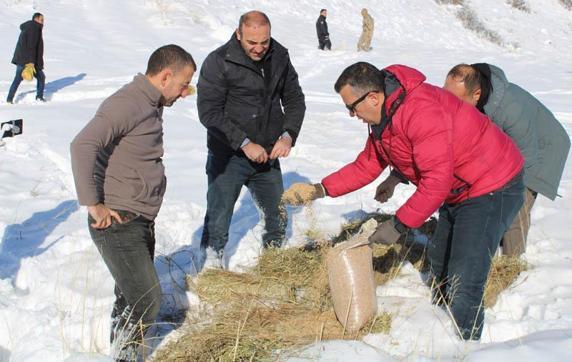 Erzurumda yaban hayatı için doğaya yem bırakıldı