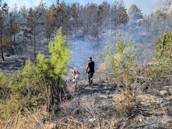Serikteki orman yangını kontrol altında