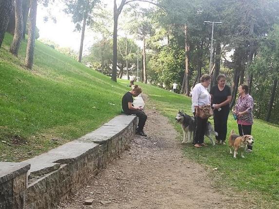 Tiyatro ve dizi oyuncusu Seda Fettahoğlu parkta ölü bulundu