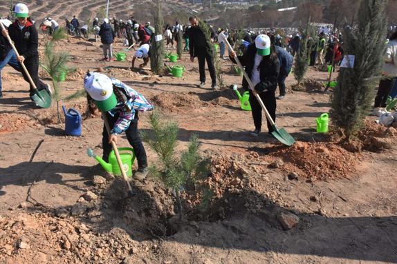 TBMM Başkanı Kurtulmuş: Filistin davası için yeni bir dönem başlamıştır