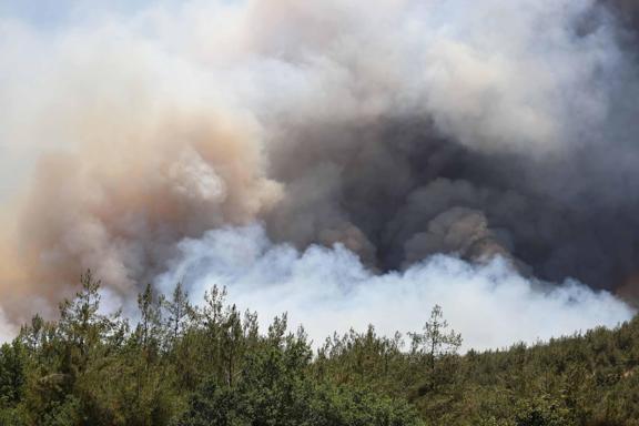 Sakaryadaki orman yangını 2nci gününde