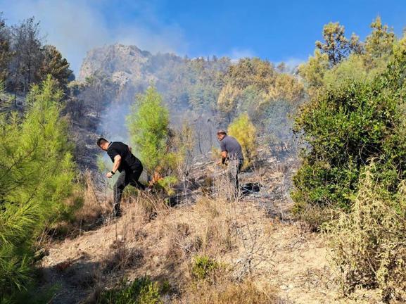 Serikteki orman yangını kontrol altında
