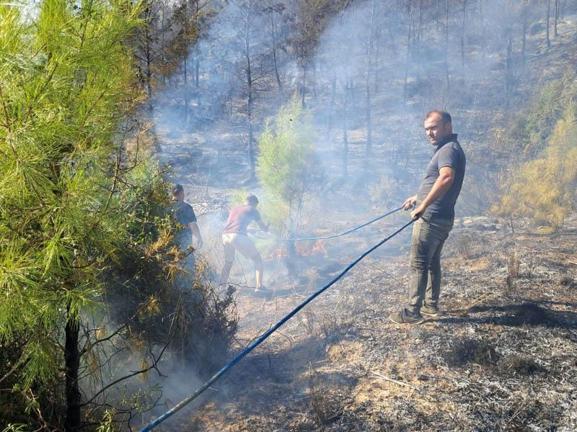 Serikteki orman yangını kontrol altında