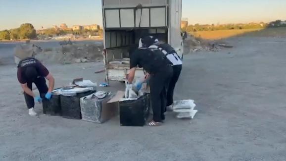 Zeytinburnunda uyuşturucu operasyonu; 83 kilogram skunk ele geçirildi