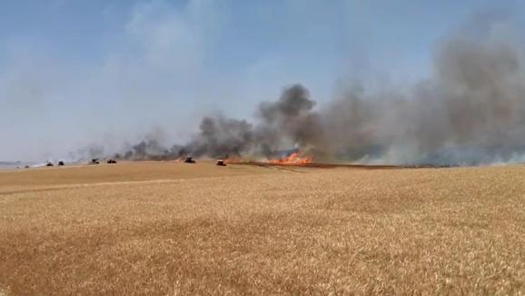 Diyarbakırda 120 dönüm ekili buğday yandı