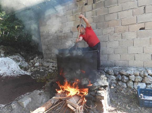 Doğada kendiliğinden yetişiyor, yağı 400 liraya satılıyor