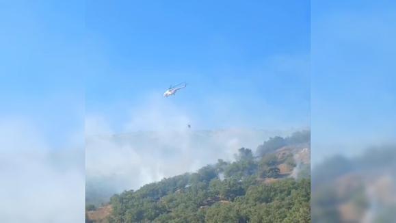 Malatyada orman yangını 21 saat sonra kontrol altına alındı