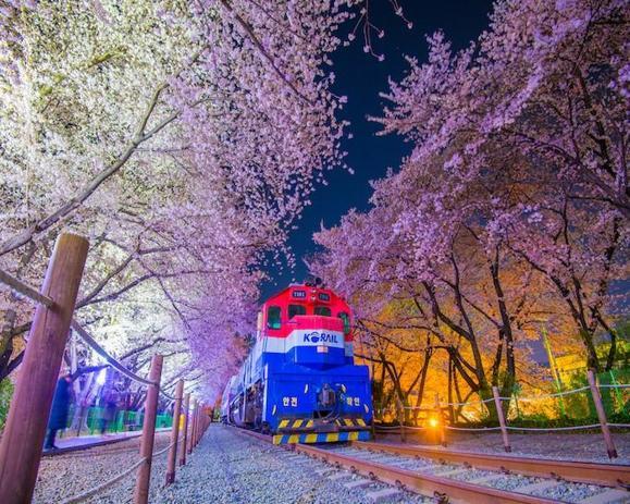 Güney Kore, bir yılda turizmde yüzde 136’lık artış yakaladı