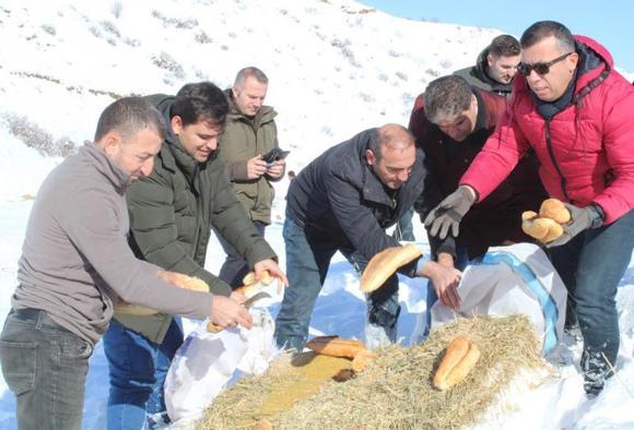 Erzurumda yaban hayatı için doğaya yem bırakıldı