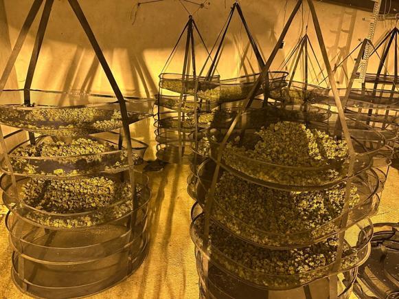 4 uyuşturucu şebekesinin çökertildiği ‘Orkinos-Bulut’ operasyonuna dair yeni detaylar